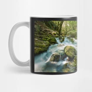 River flowing through rocks Mug